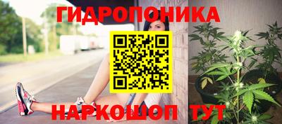 мяу мяу мука Севастополь