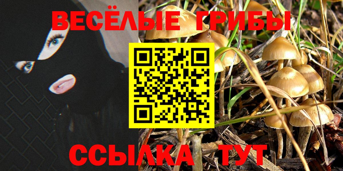 Советск  Галлюциногенные грибы Cubensis  Вход с VPN 