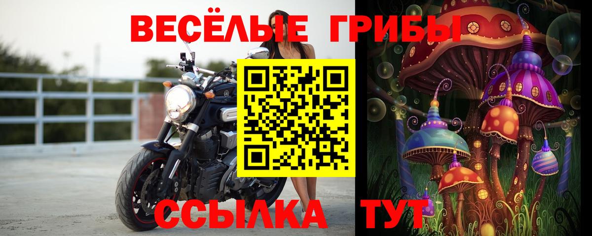 Галлюциногенные грибы GOLDEN TEACHER Советск